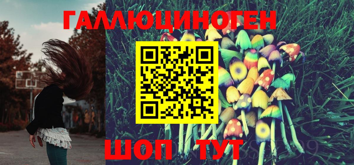 Россошь  Галлюциногенные грибы Magic Shrooms  Вход с VPN  Галлюциногенные грибы Psilocybine cubensis 